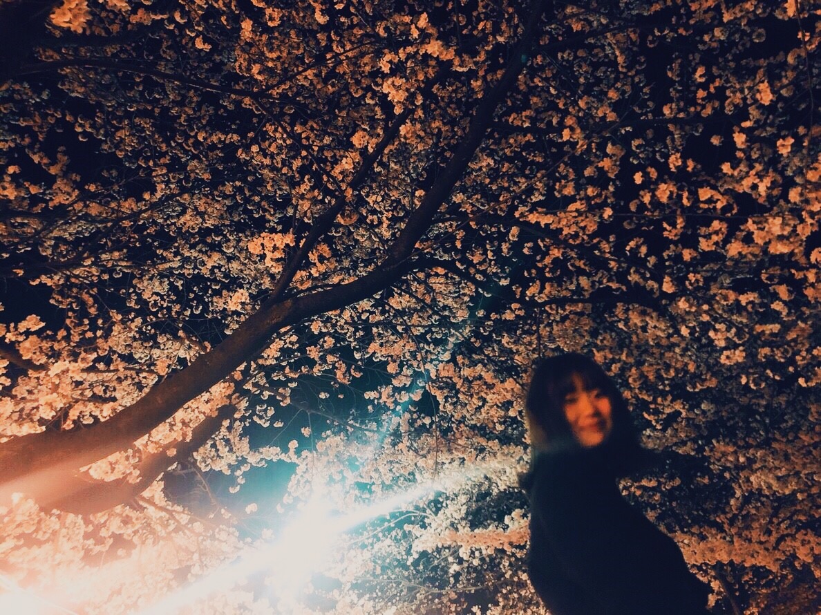 一瞬の夜桜